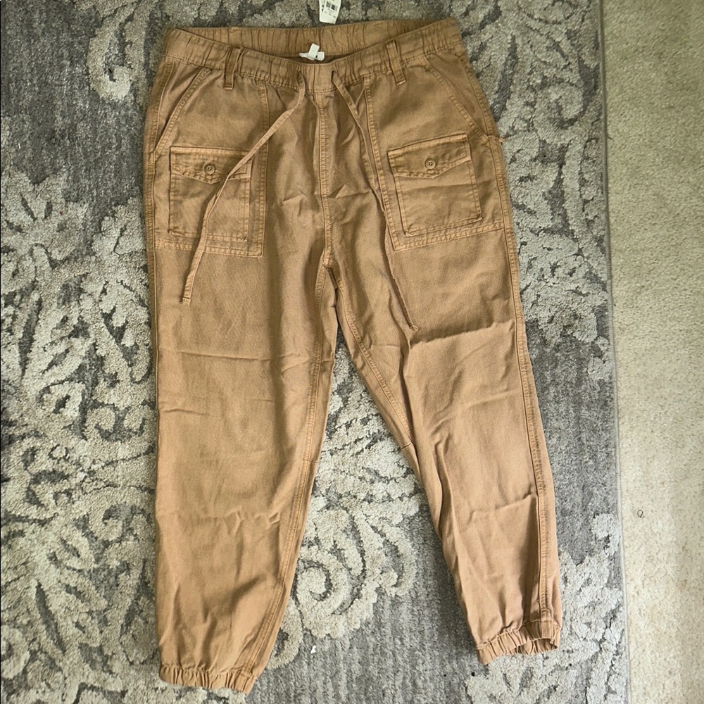 Aerie Light Brown Jogger Pants